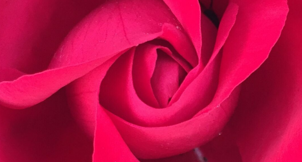 A Rose Retreat - Botanical Skin Care & Aromatherapy Course, 5 nights in Bulgaria