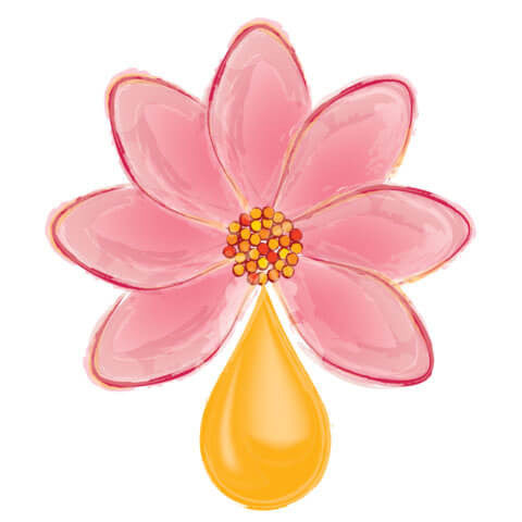 Neroli Essential Oil (orange blossom)