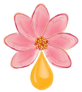 Essential Oils and You