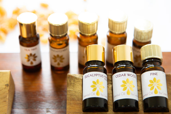 Botanical Alchemy - Wellbeing Workshop at Wadhurst Castle - 27th Sep 2026