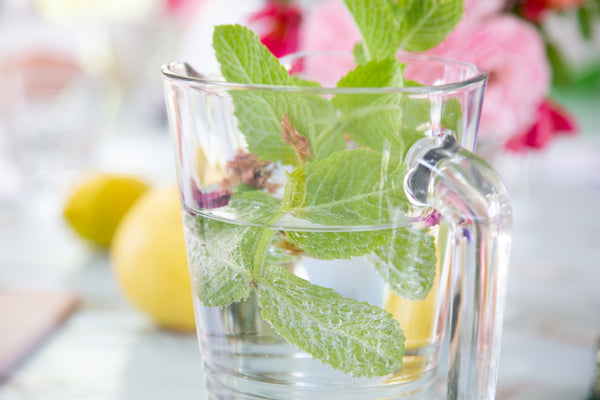 Plant to Perfume Workshop at Wadhurst Castle, Sunday 14th June 2026