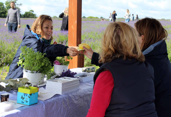 Natural Perfumery at Mayfield Lavender Fields - 11th July 2019