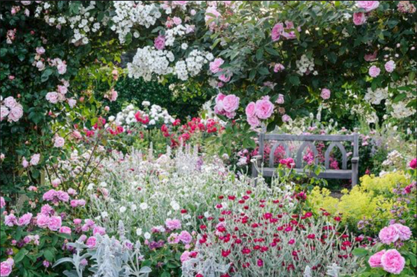 Plant to Perfume Workshop - RHS Rosemoor, Devon