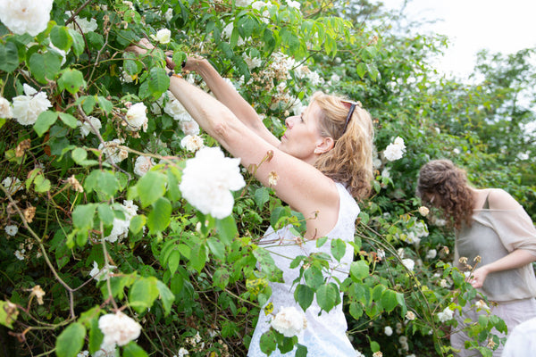 Botanical Alchemy - Natural Perfume & Aromatherapy Workshop, Devon, 16th July 2024