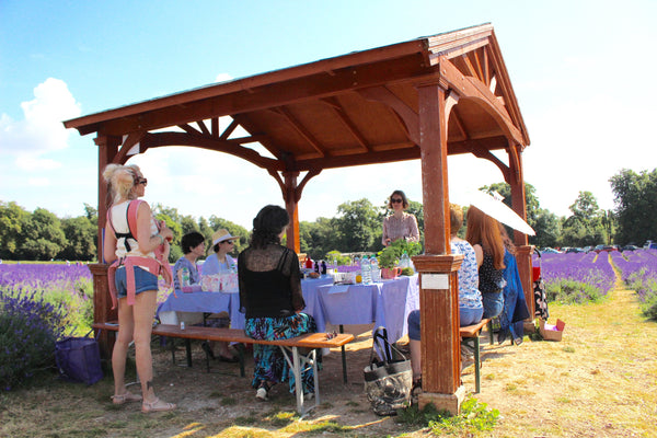 Natural Perfumery at Mayfield Lavender Fields - 11th July 2019