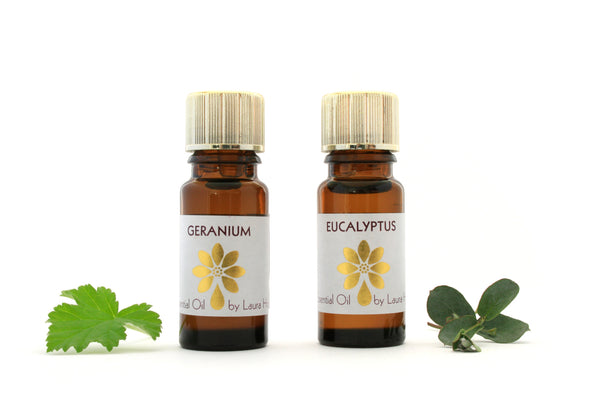 Plant to Perfume - Online Aromatherapy Workshop - by request