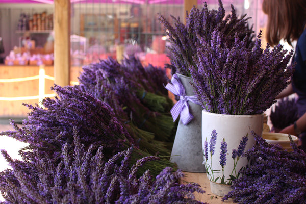 Natural Perfumery at Mayfield Lavender Fields - 11th July 2019